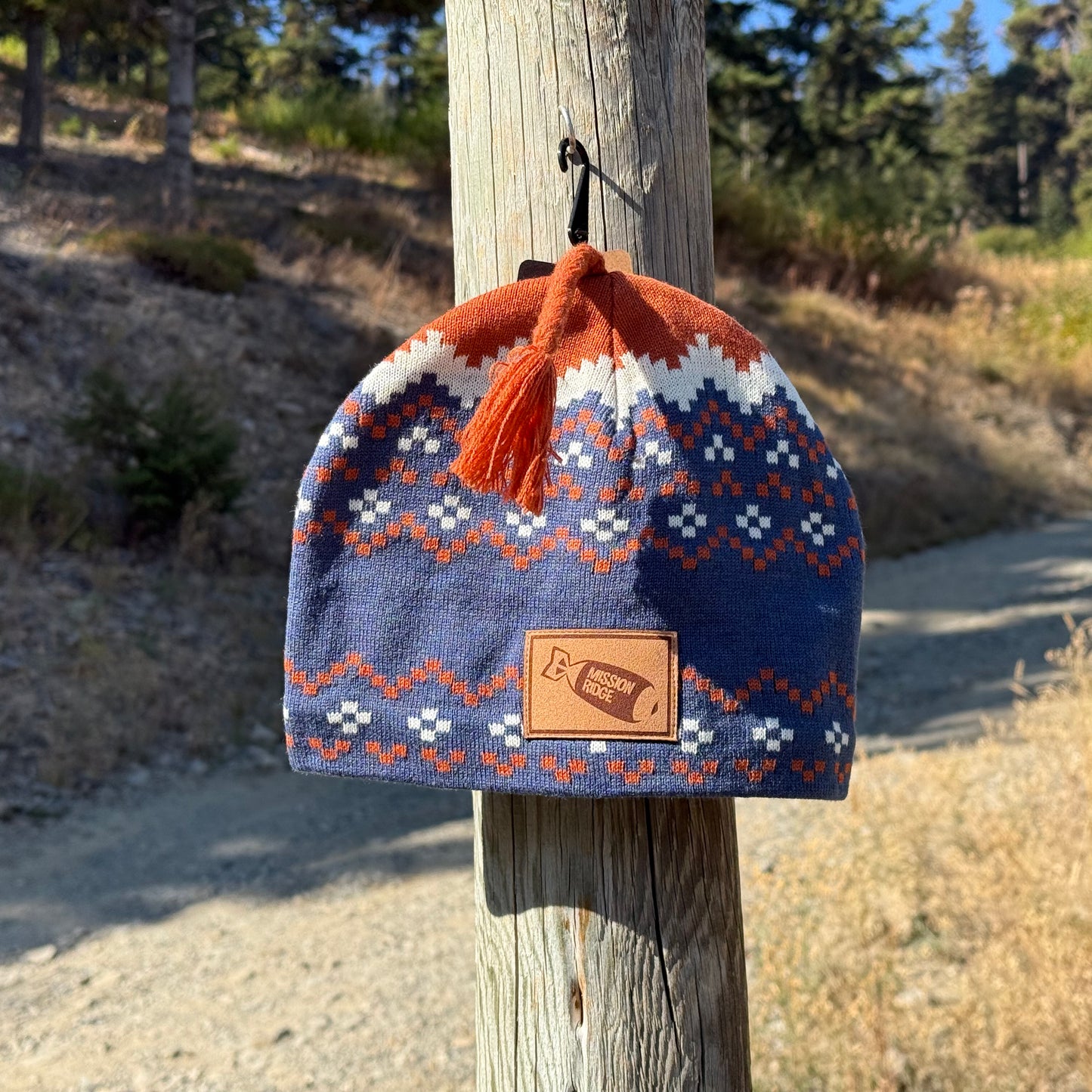 Chevron Cranium Beanie