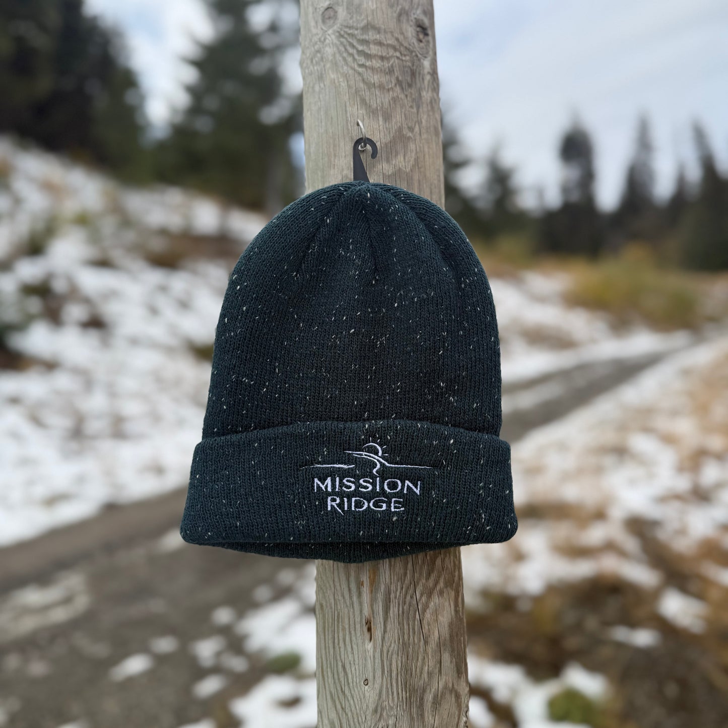 Daily Pines Speckle Beanie