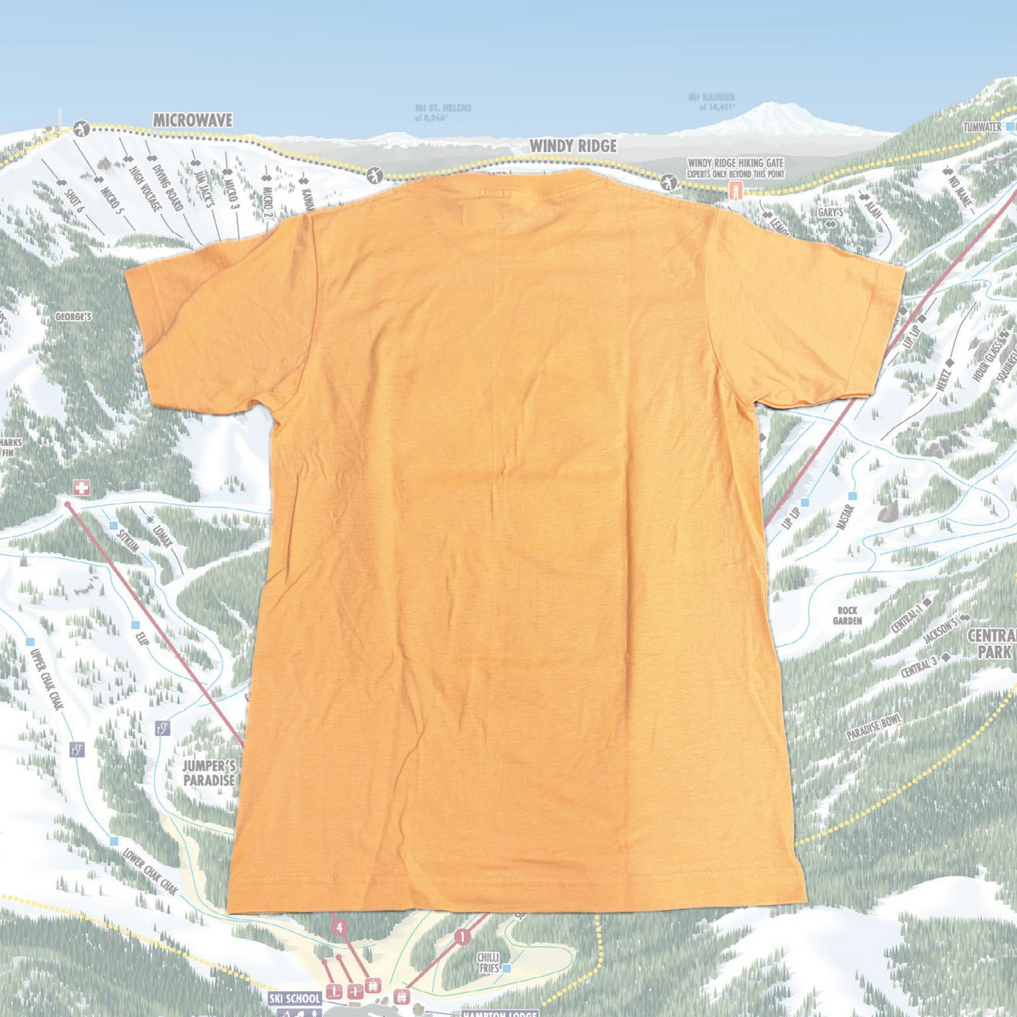 Flamingo Days Shirt