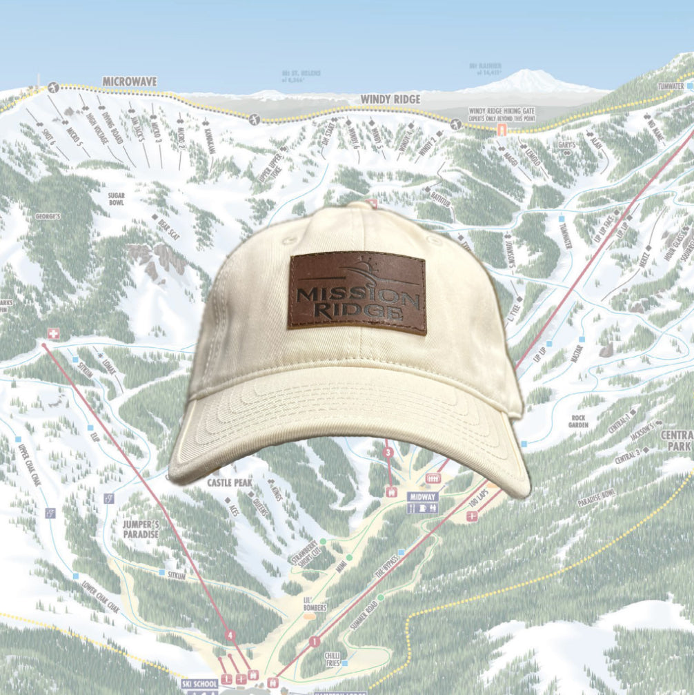 Stacked Logo Curved Bill Hat