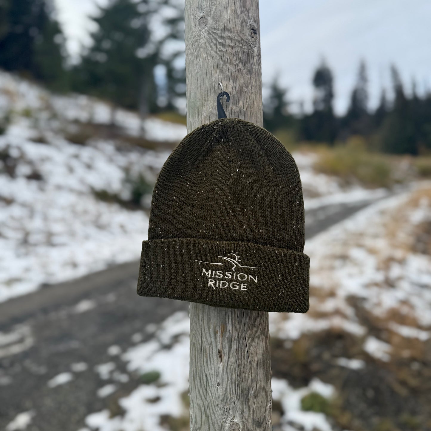 Daily Pines Speckle Beanie