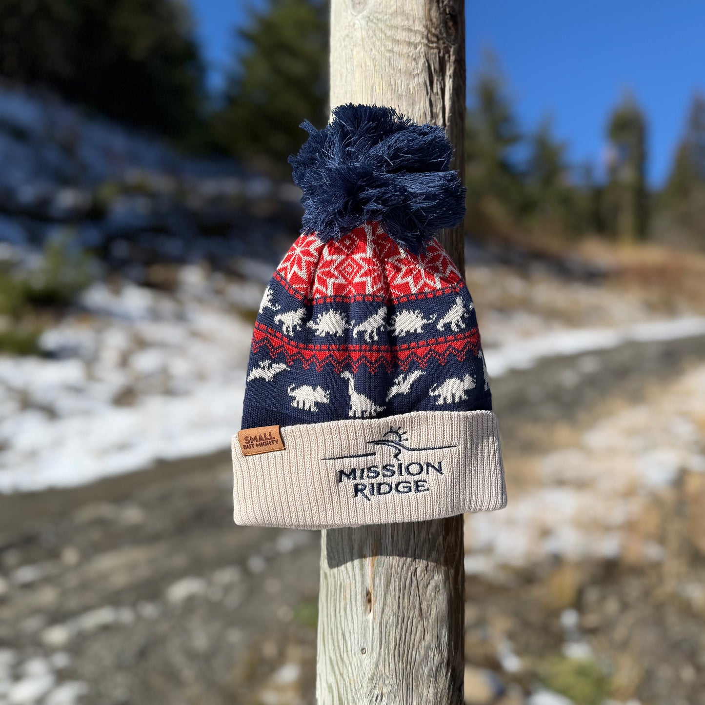 Small but Mighty Youth Beanie