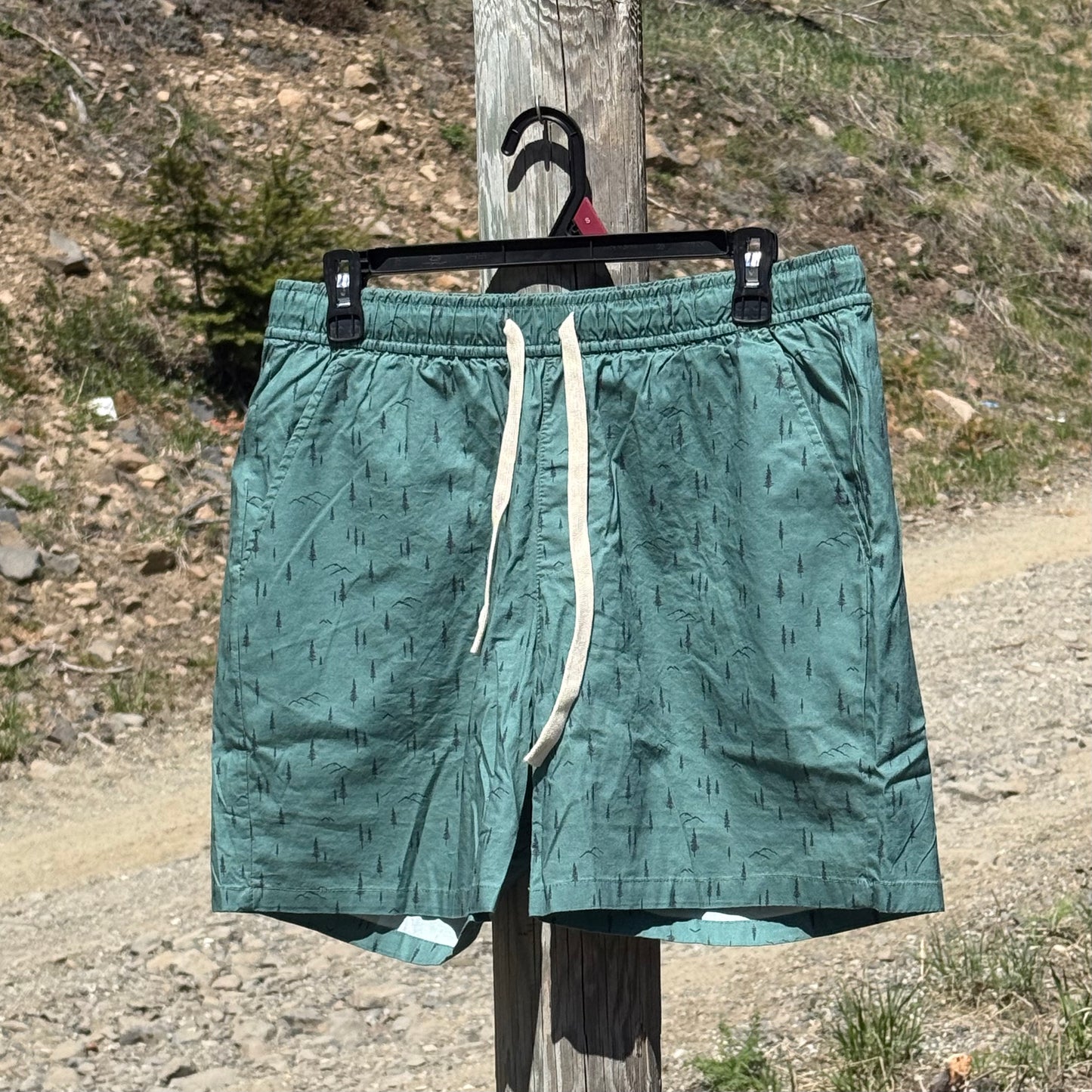 Evergreen Camp Shorts