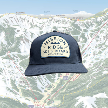 Arch Logo Mesh Back Hat