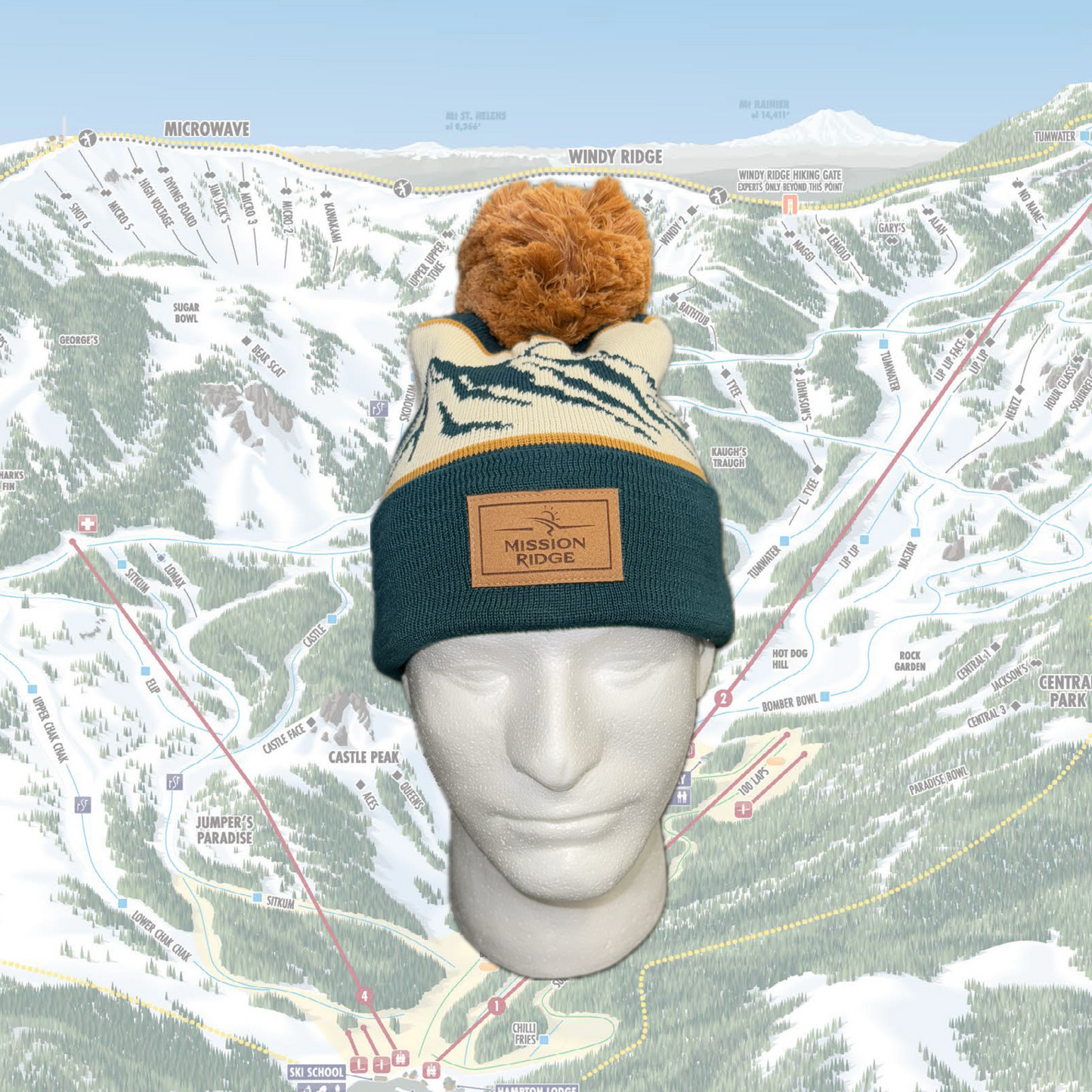 Flatiron Pom Beanie